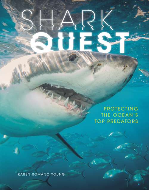 Book cover of Shark Quest: Protecting the Ocean's Top Predators