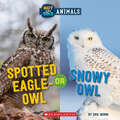 Spotted Eagle-Owl or Snowy Owl: Wild World (Hot and Cold Animals)