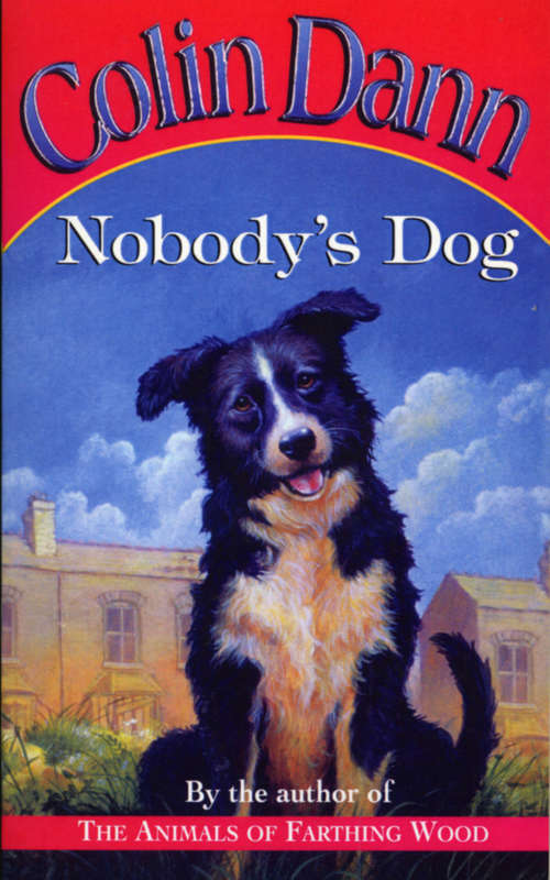 Book cover of Nobody's Dog