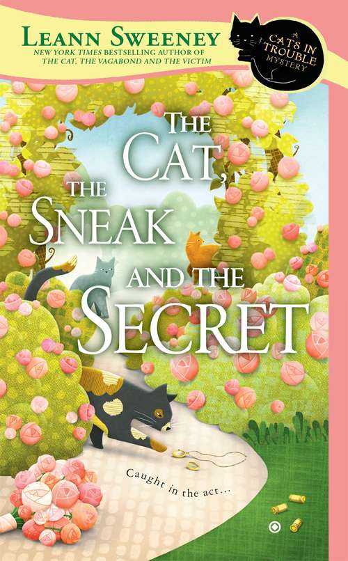 Book cover of The Cat, the Sneak and the Secret
