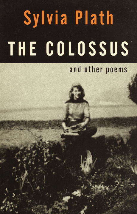 Book cover of The Colossus