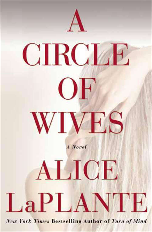 Book cover of A Circle of Wives: A Novel