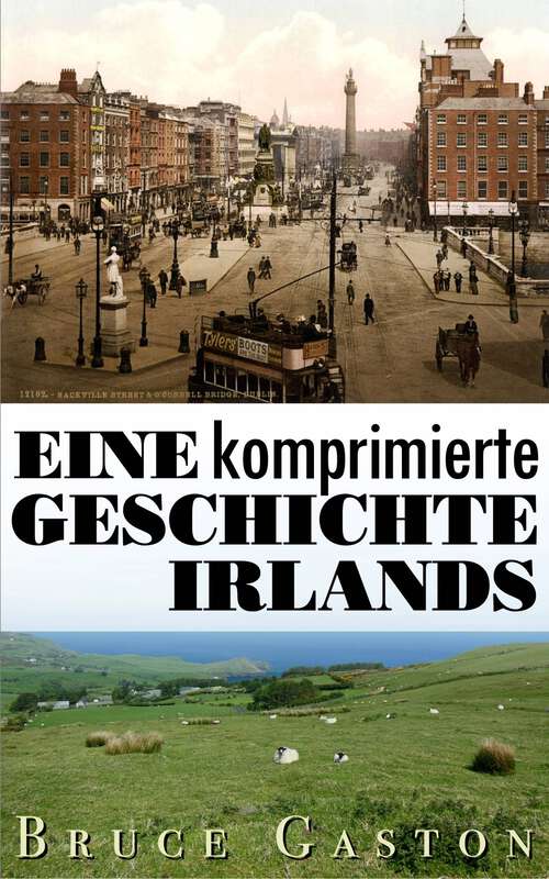 Book cover of Eine komprimierte Geschichte Irlands