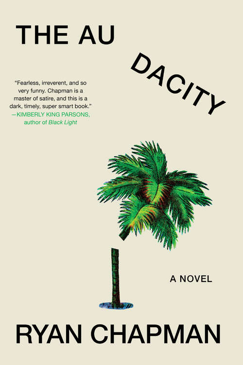 Book cover of The Audacity