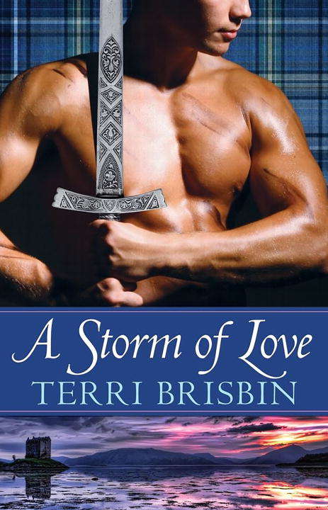 Book cover of A Storm of Love