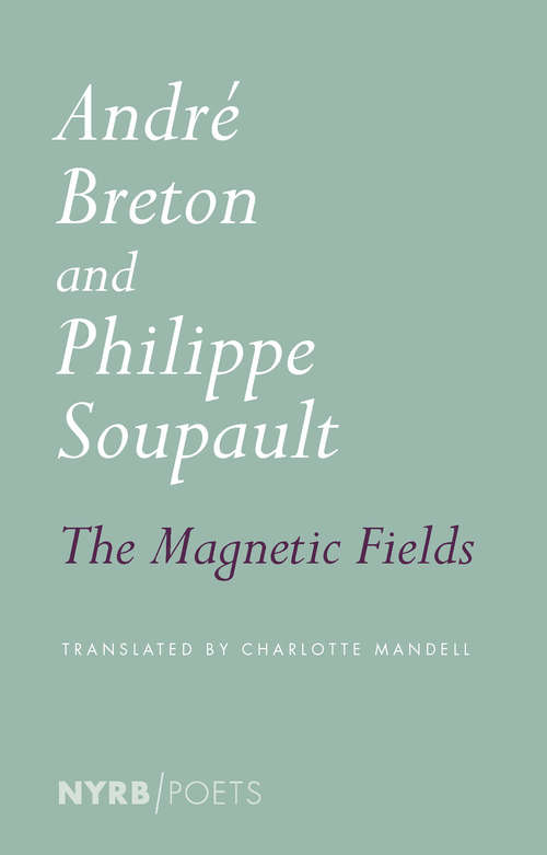 The Magnetic Fields: The Magnetic Fields And The Immaculate Conception (Atlas Anti-classics Ser. #Vol. 6)