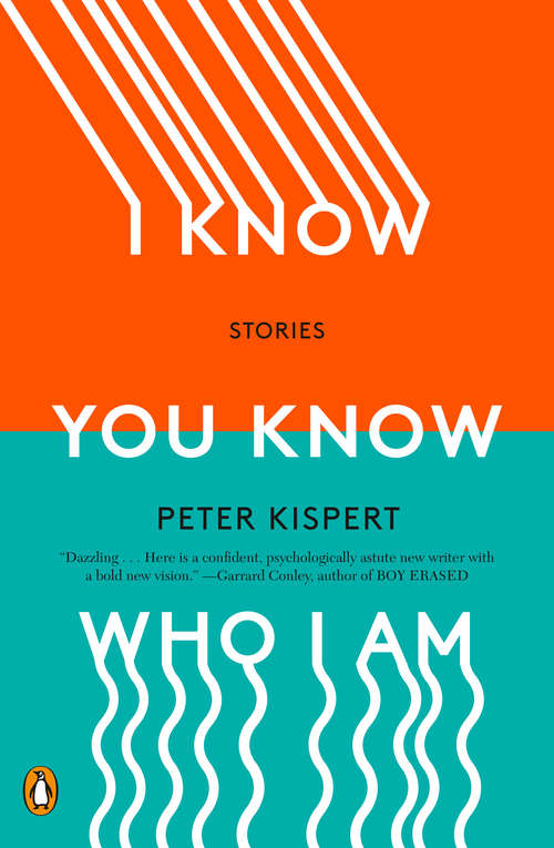 Book cover of I Know You Know Who I Am: Stories