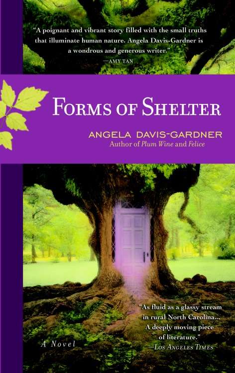 Book cover of Forms of Shelter