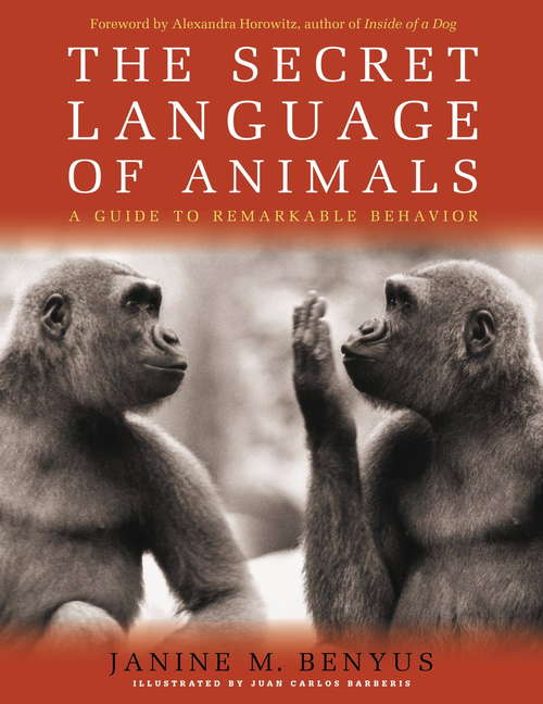Book cover of Secret Language of Animals