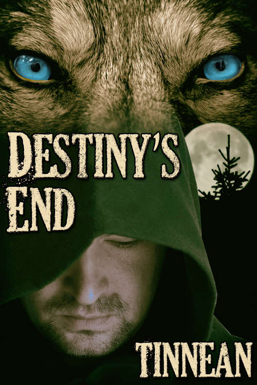 Book cover of Destiny's End