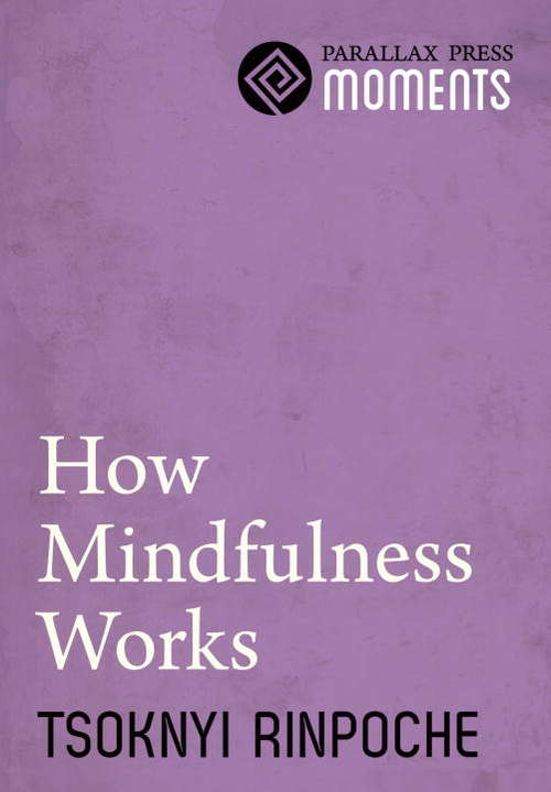 Book cover of How Mindfulness Works