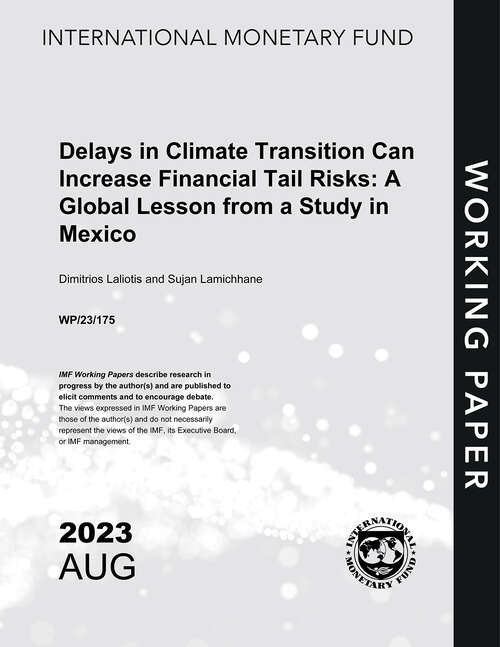 Book cover of Delays in Climate Transition Can Increase Financial Tail Risks: A Global Lesson from a Study in Mexico