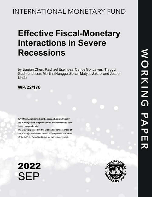 Book cover of Effective Fiscal-Monetary Interactions in Severe Recessions (Imf Working Papers)