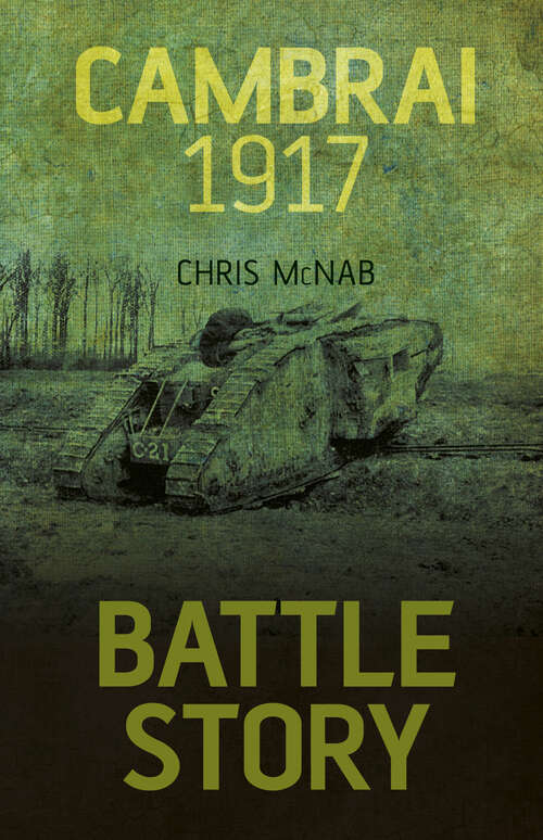 Book cover of Battle Story: Cambrai 1917