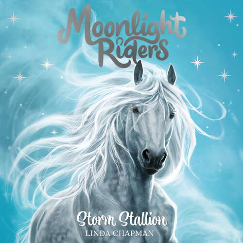 Book cover of Storm Stallion (Moonlight Riders #2)