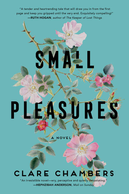 Book cover of Small Pleasures: A Novel