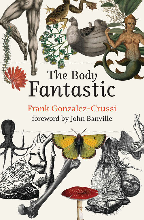 Book cover of The Body Fantastic