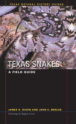 Book cover of Texas Snakes: A Field Guide