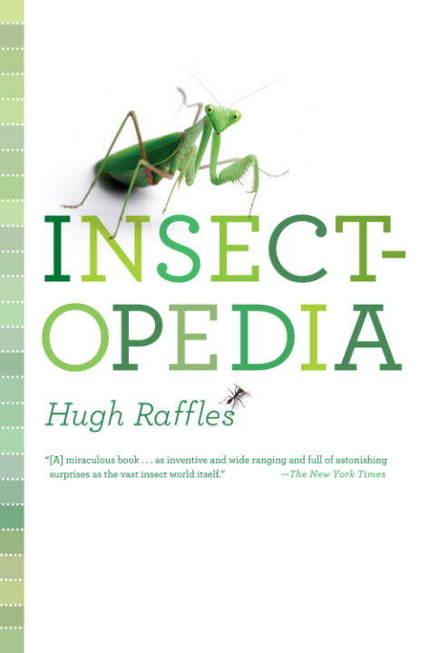 Book cover of Insectopedia