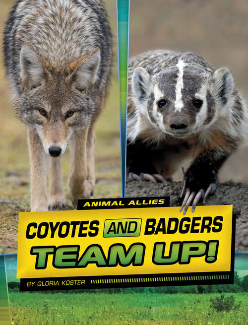 Book cover of Coyotes and Badgers Team Up! (Animal Allies Ser.)