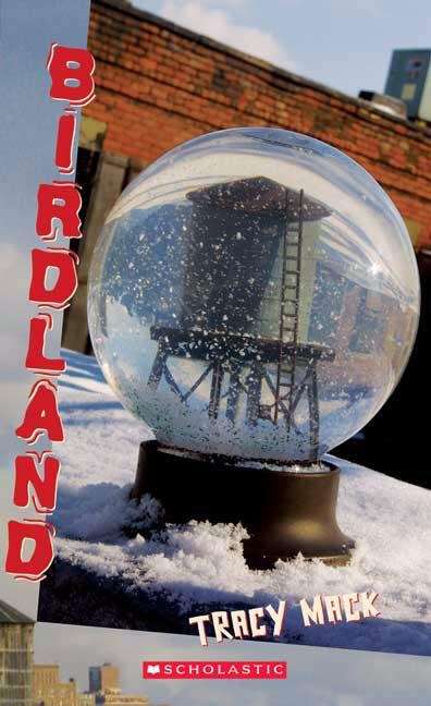 Book cover of Birdland
