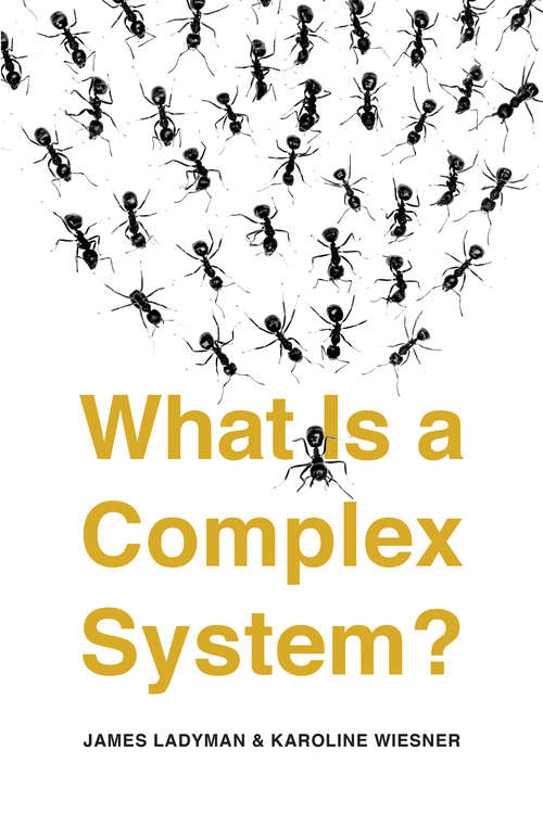 Book cover of What Is a Complex System?