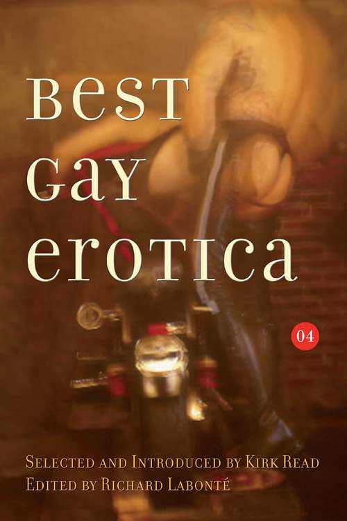 Book cover of Best Gay Erotica 2004