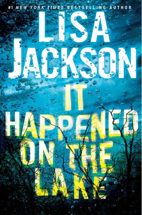 Book cover of It Happened on the Lake