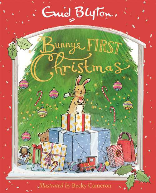 Book cover of Bunny's First Christmas