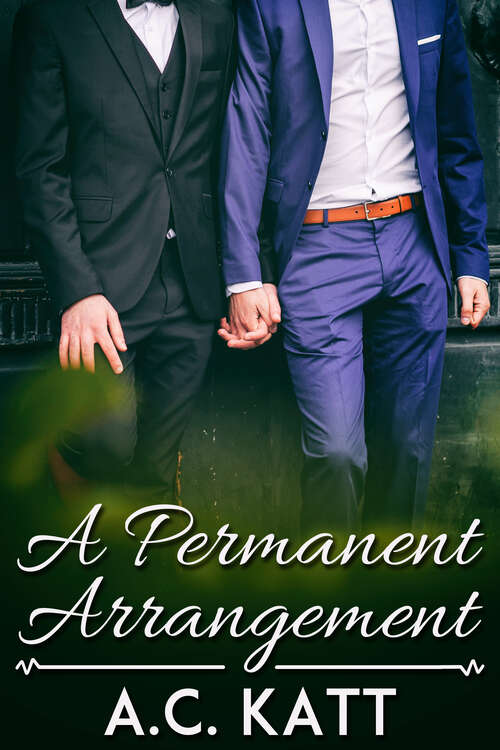 Book cover of A Permanent Arrangement