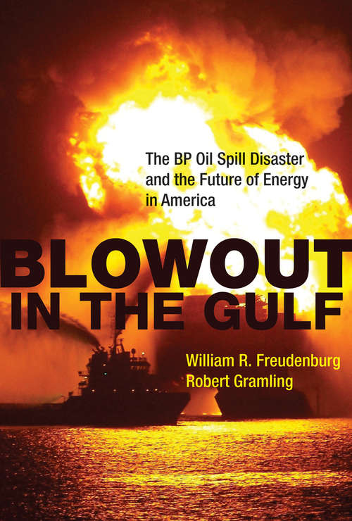Blowout in the Gulf: The BP Oil Spill Disaster and the Future of Energy in America (The\mit Press Ser.)