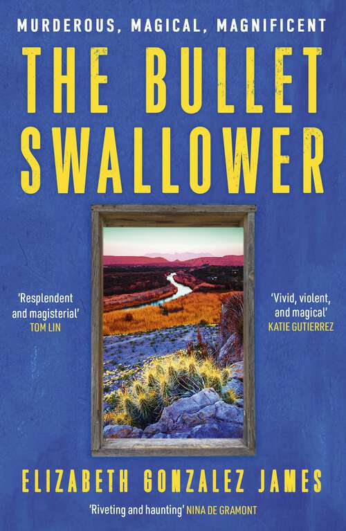 Book cover of The Bullet Swallower