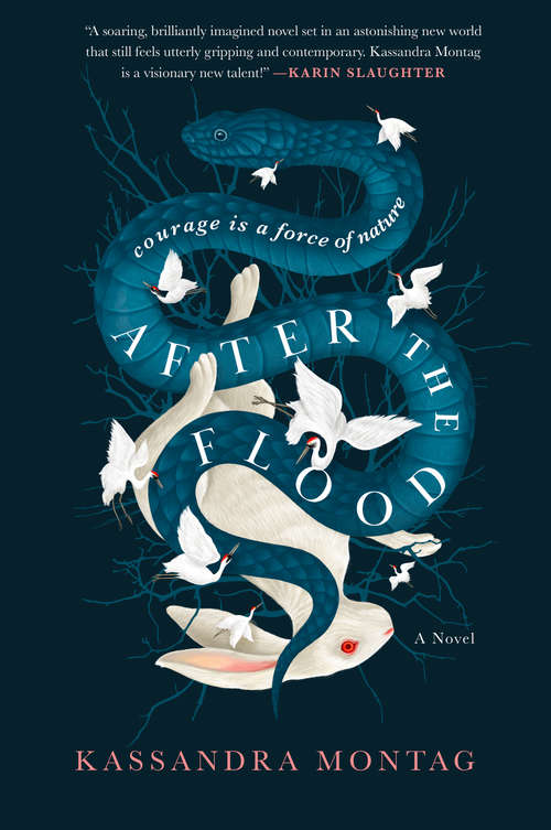 Book cover of After the Flood: A Novel