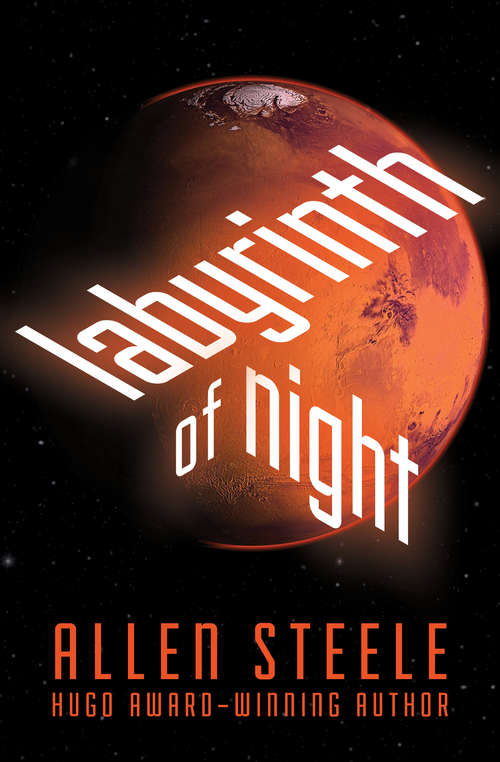 Book cover of Labyrinth of Night