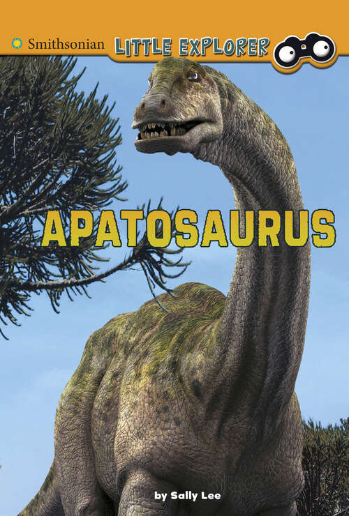 Book cover of Apatosaurus (Little Paleontologist Ser.)