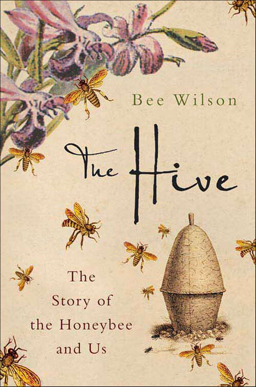 Book cover of The Hive: The Story of the Honeybee and Us