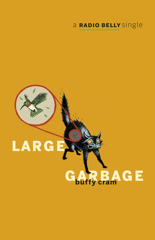 Book cover of Large Garbage