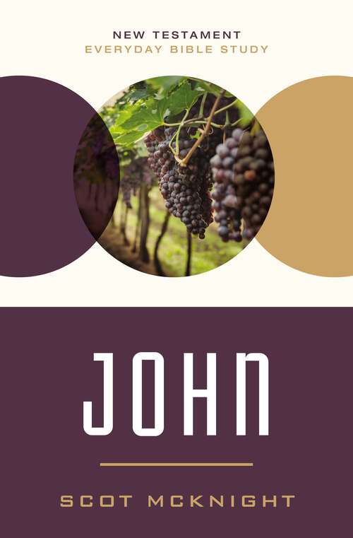 John (New Testament Everyday Bible Study Series)