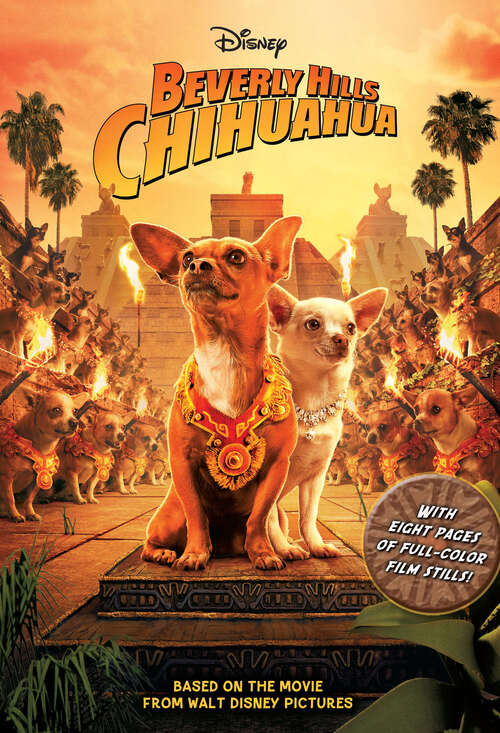 Book cover of Beverly Hills Chihuahua Junior Novel