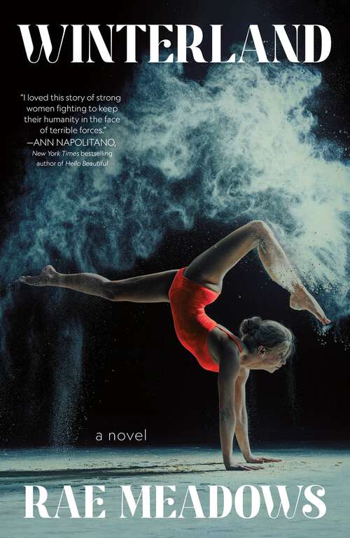 Book cover of Winterland: A Novel