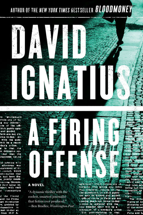 Book cover of A Firing Offense: A Novel