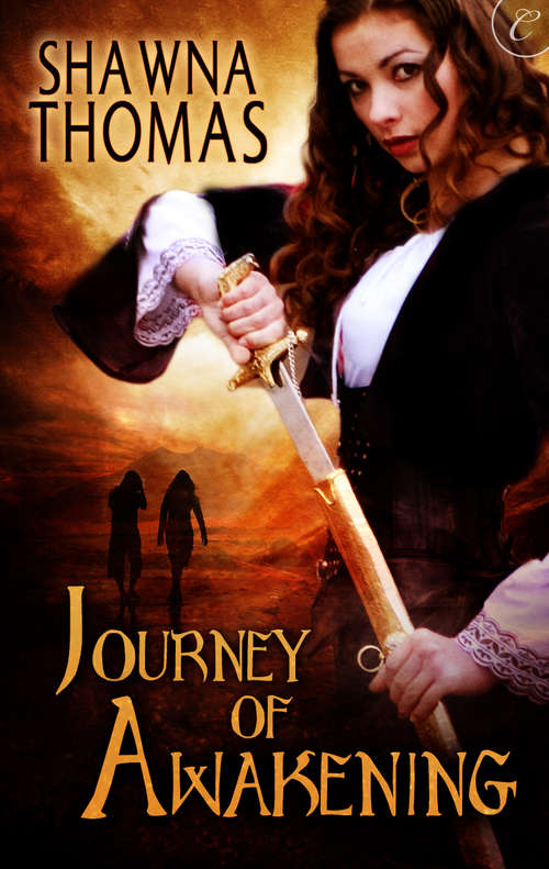 Book cover of Journey of Awakening (Triune Stones #1)