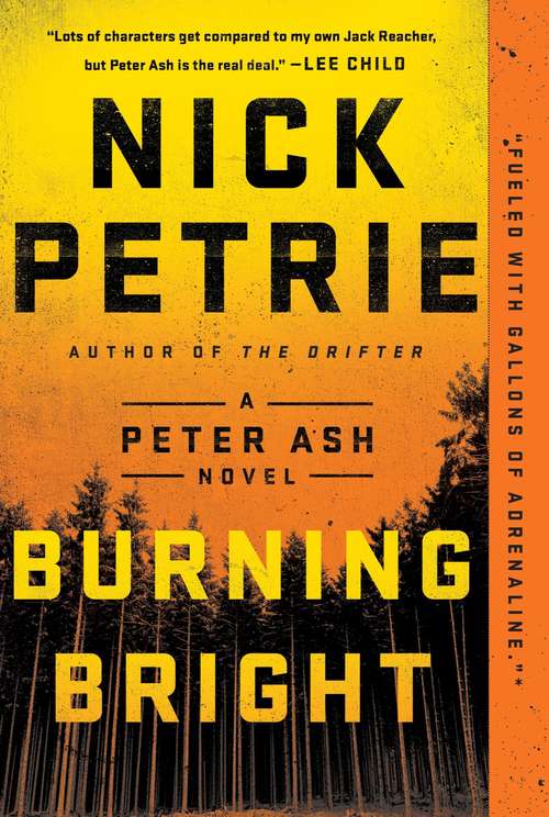 Burning Bright (A Peter Ash Novel #2)