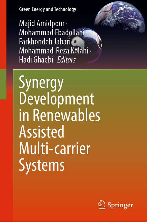 Synergy Development in Renewables Assisted Multi-carrier Systems (Green Energy and Technology)