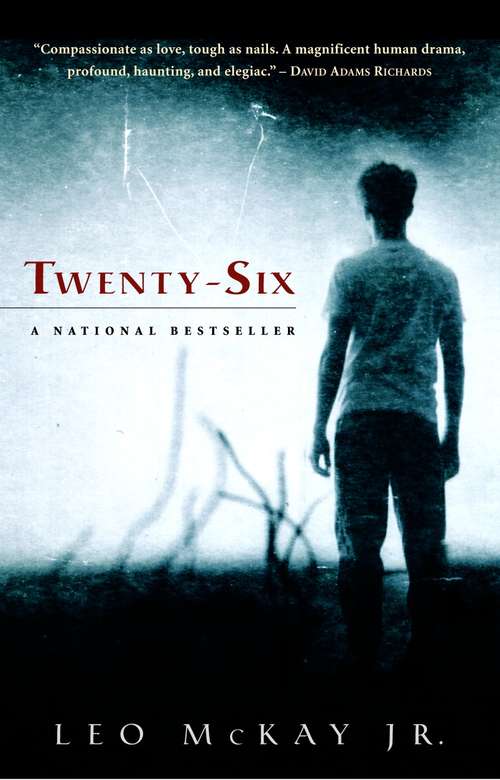 Book cover of Twenty-Six