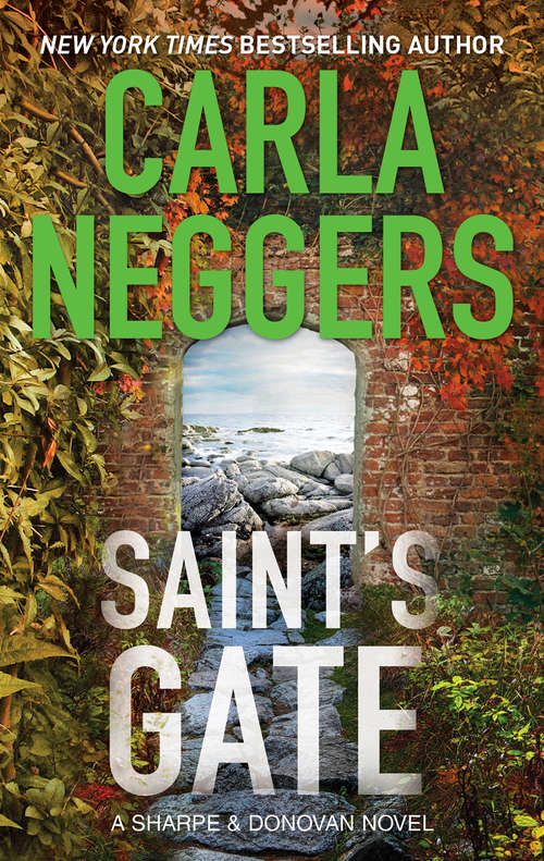 Book cover of Saint's Gate