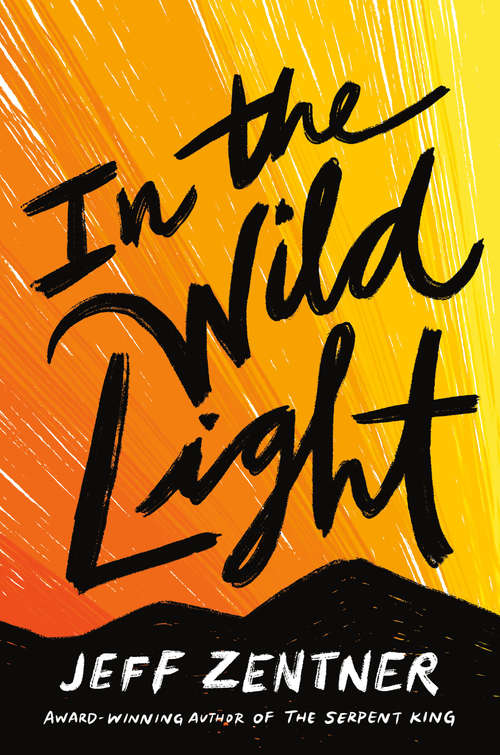 Book cover of In the Wild Light