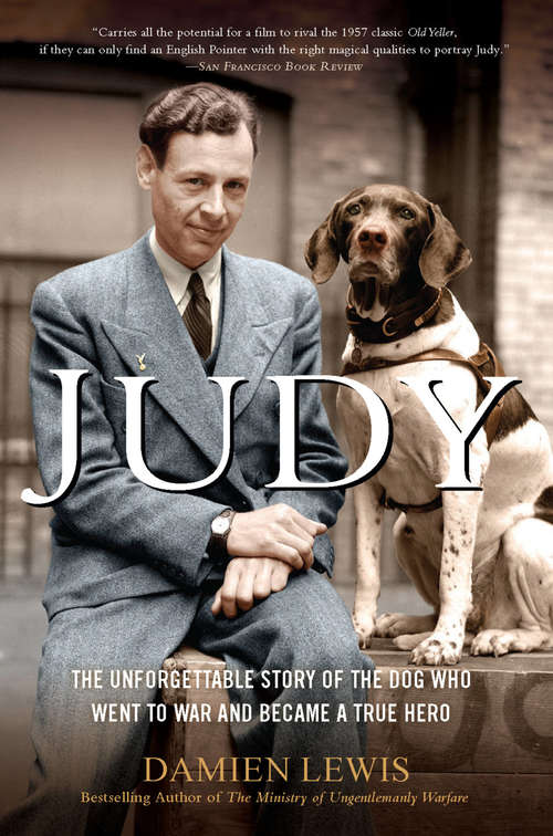 Book cover of Judy