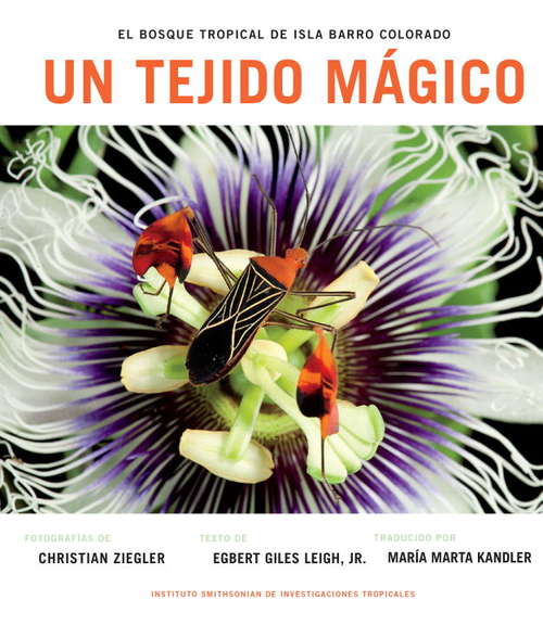 Book cover of Un Tejido Magico: El Bosque Tropical de Isla Barro Colorado (Spanish Edition)