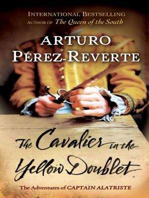 Book cover of The Cavalier in the Yellow Doublet